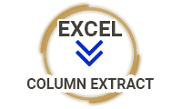 Excel To Column Extractor